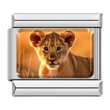 Les Ailes de Gloria NOS WINGS Baby Lion charm fantaisie lion
