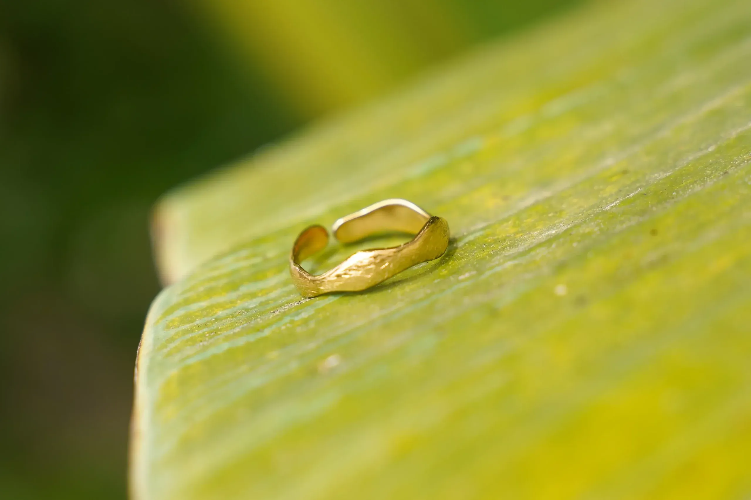 Pachanana bague acier inoxydable résistante à l'eau