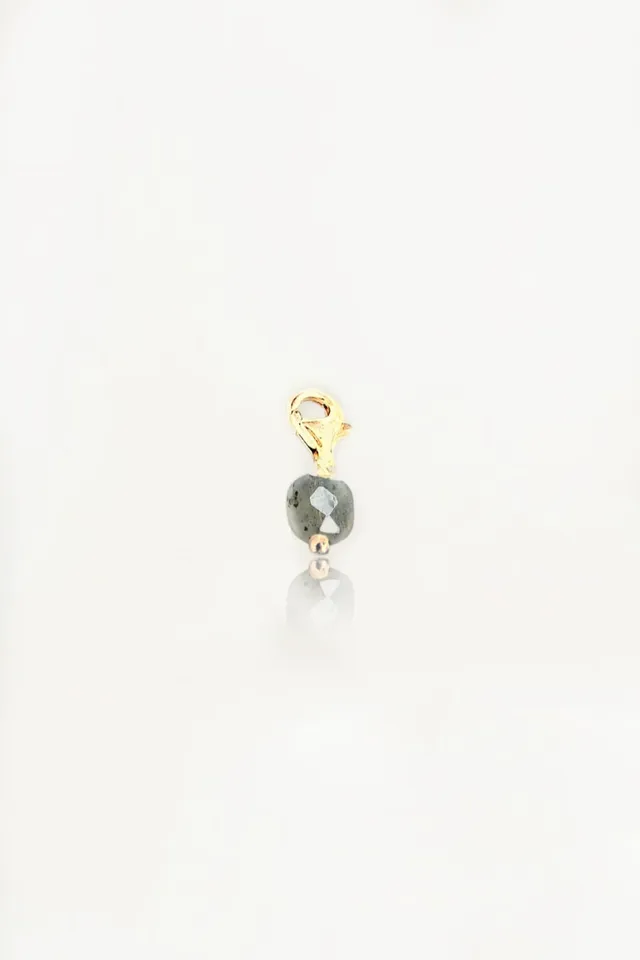 Ô PLUM Petite Labradorite breloque plaqué or protection