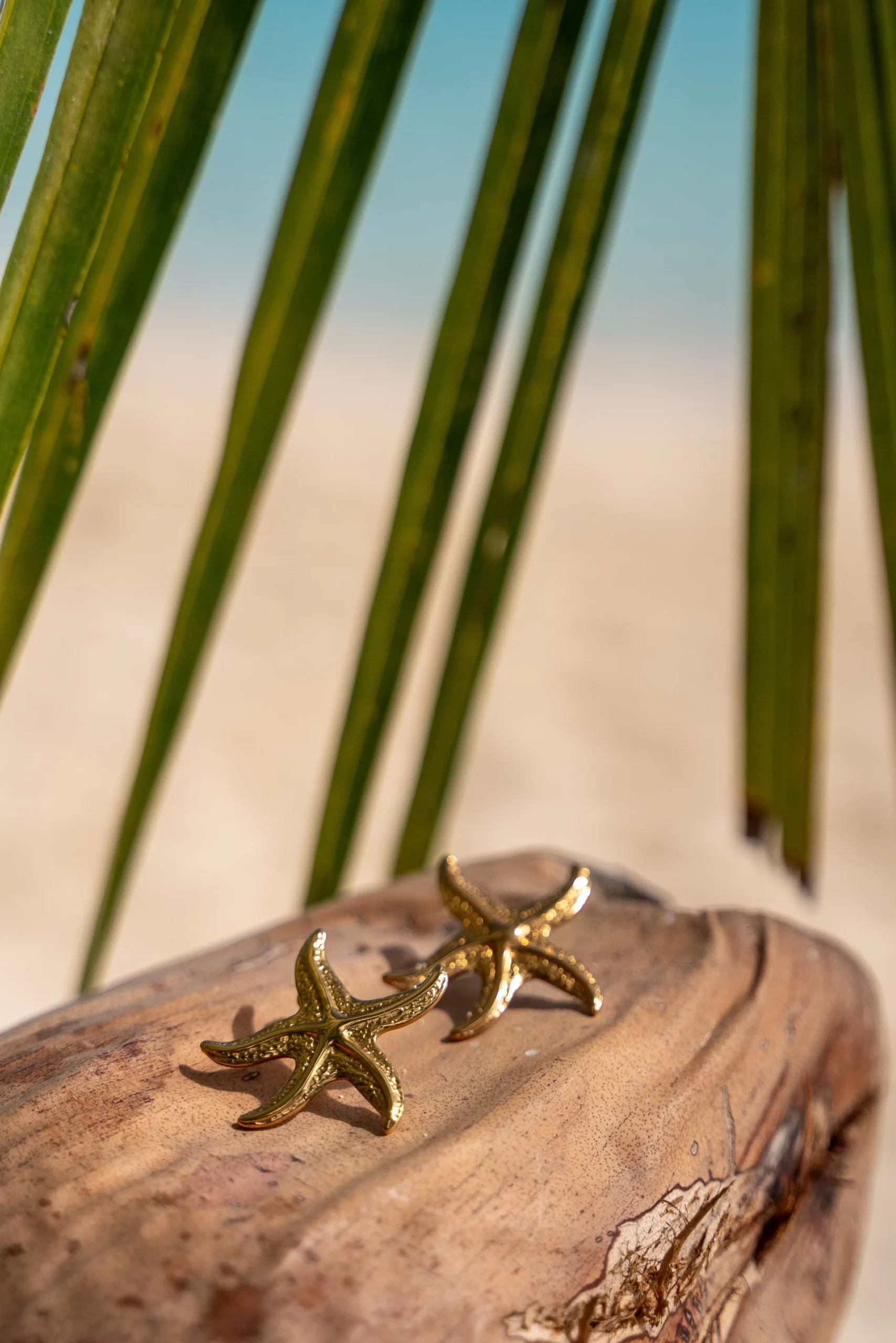 Pachanana Stella boucles d'oreilles fantaisie pour offrir