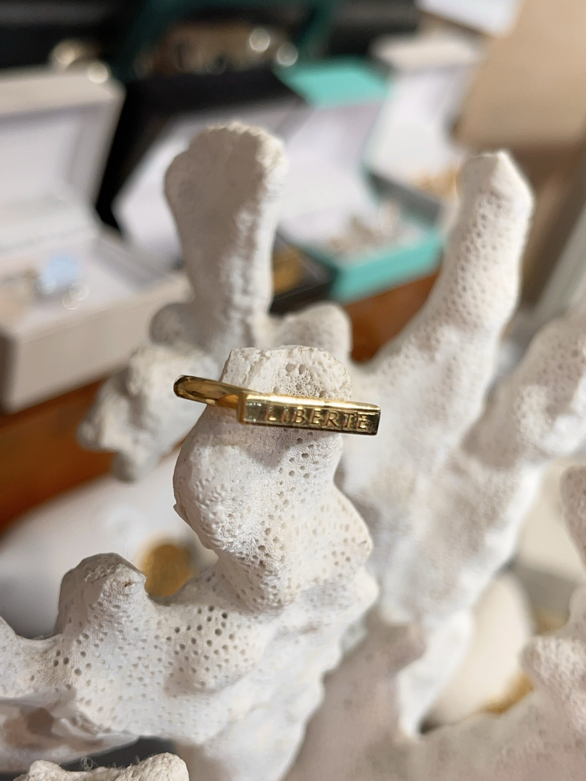 Le P’tit Franc Râleuse bague 10 francs argent 47-68