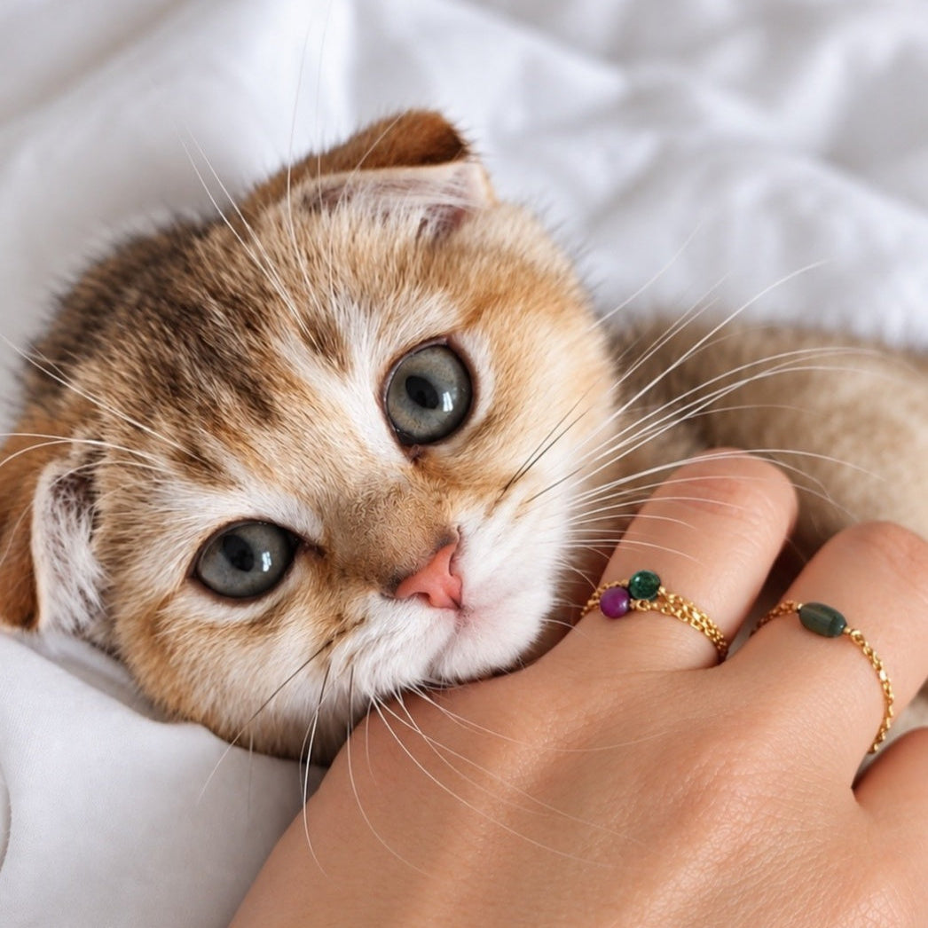 Ô Plum Jenna bague jade plaqué or chaîne fine