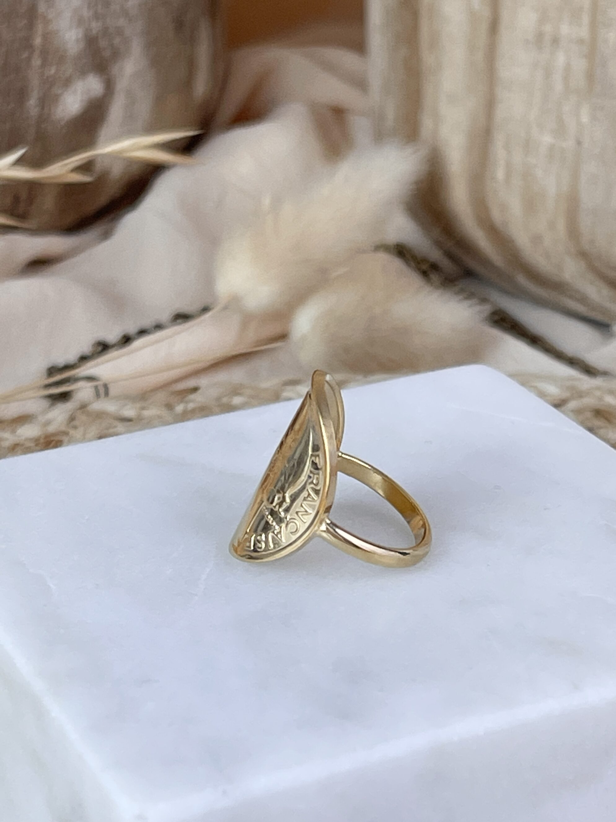 Le P'tit Franc Bagues 1 Franc Morlon bague pièce 23 mm